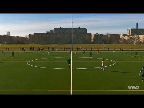 Endrit Yellow nr6