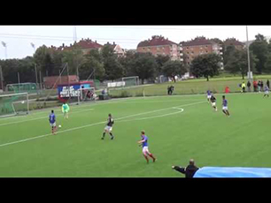 Norwegian centerback, 