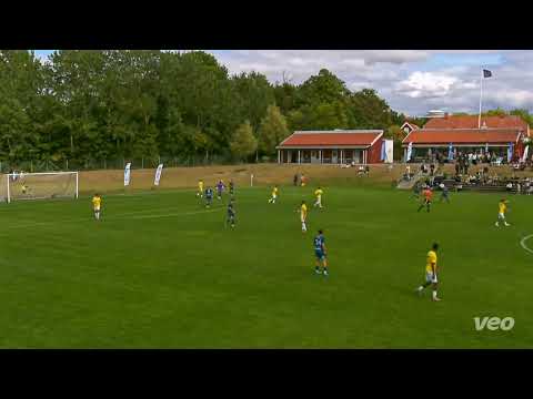 Endrit Yellow nr6